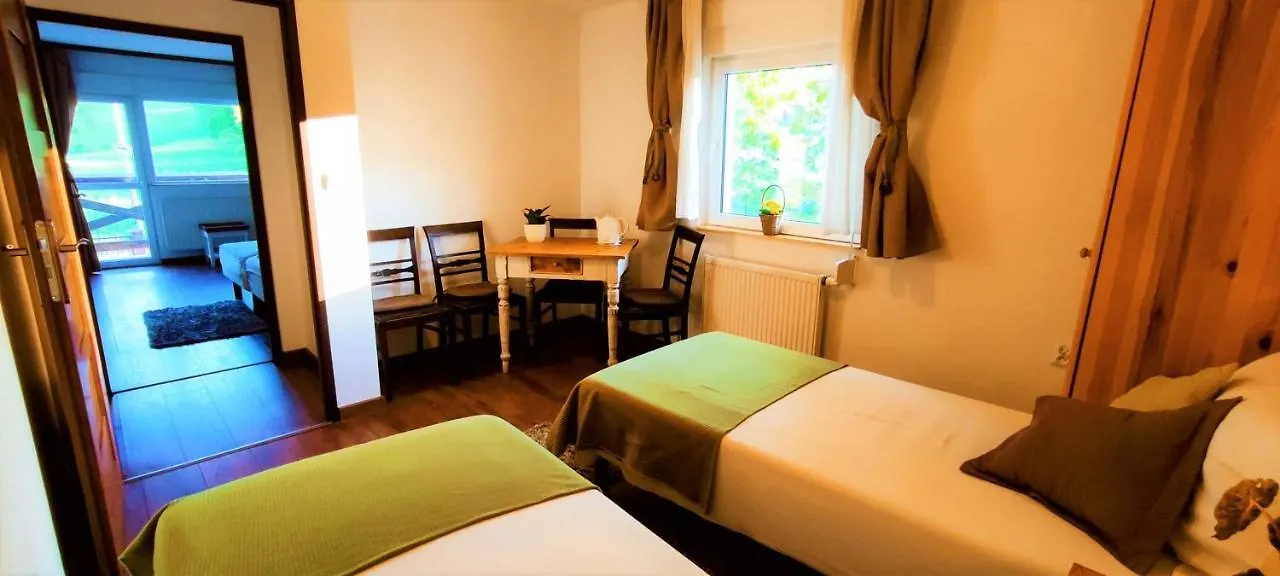 Gorski Widok Karpacz Apartamenty I Pokoje- Salon Kominkowy Polen