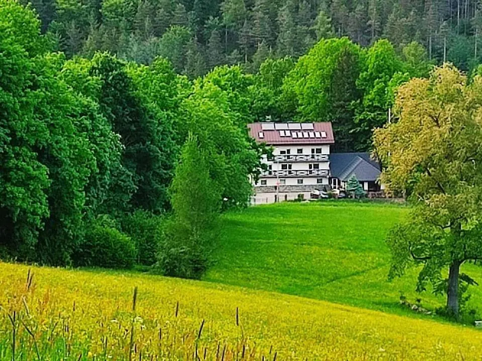 Apartamenty i Pokoje Gorski Widok-Sala Kominkowa Karpacz 0*,